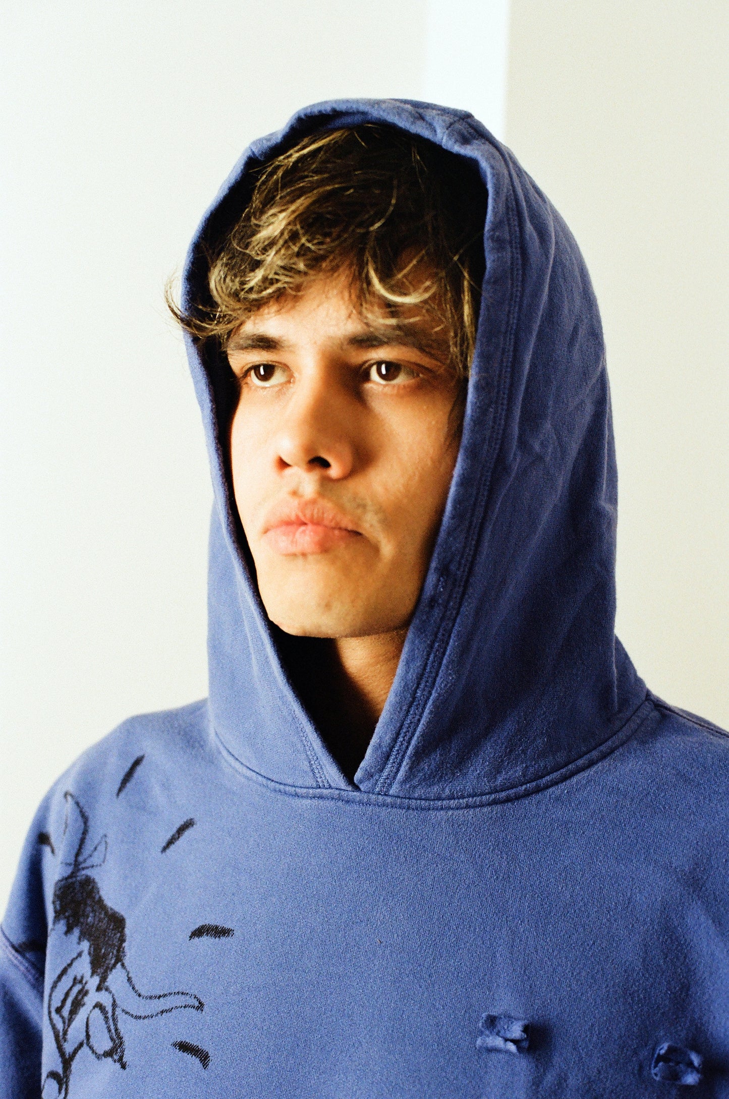 daytimenovella Out to Pasture Hoodie, Washed Royal Blue