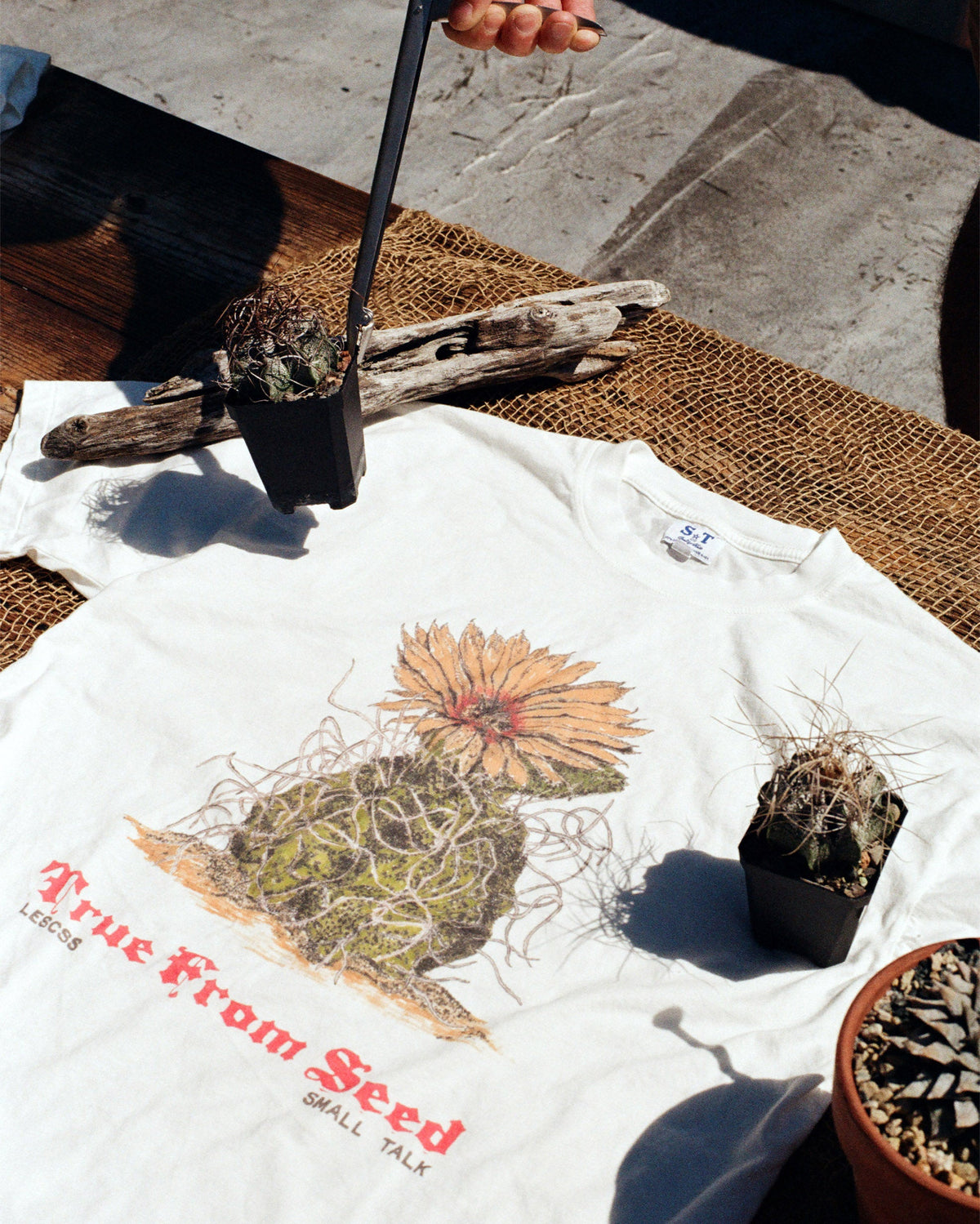 LESCSS x Small Talk: True From Seed