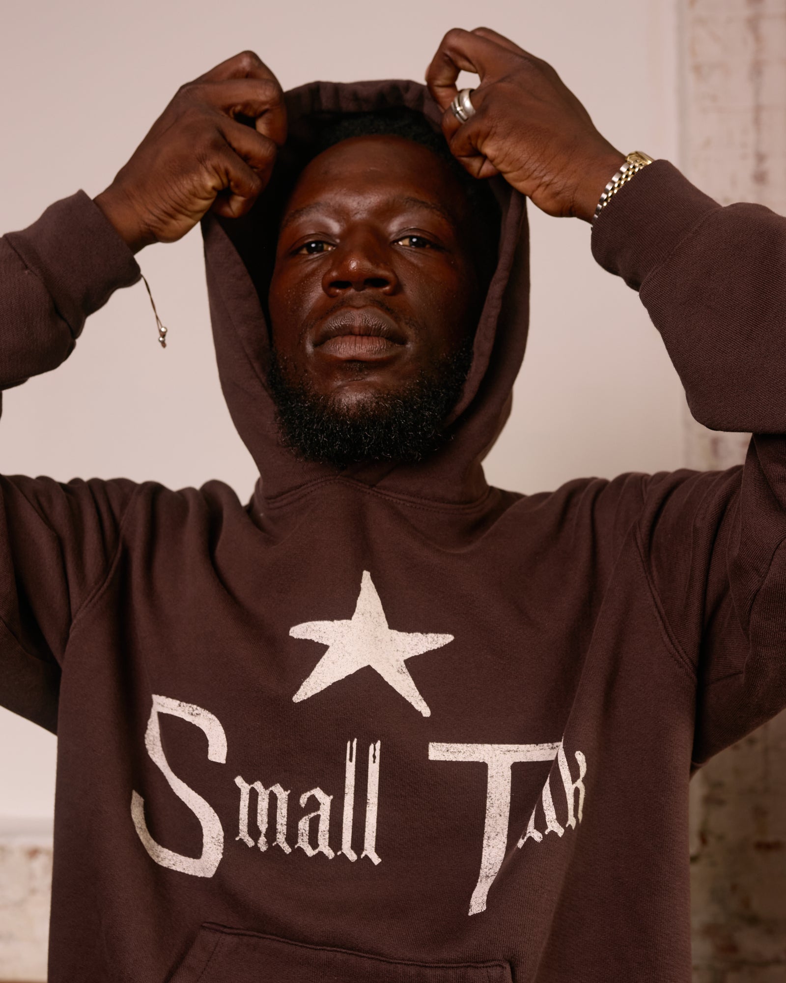 Hoodie: Dark Brown Cotton Fleece