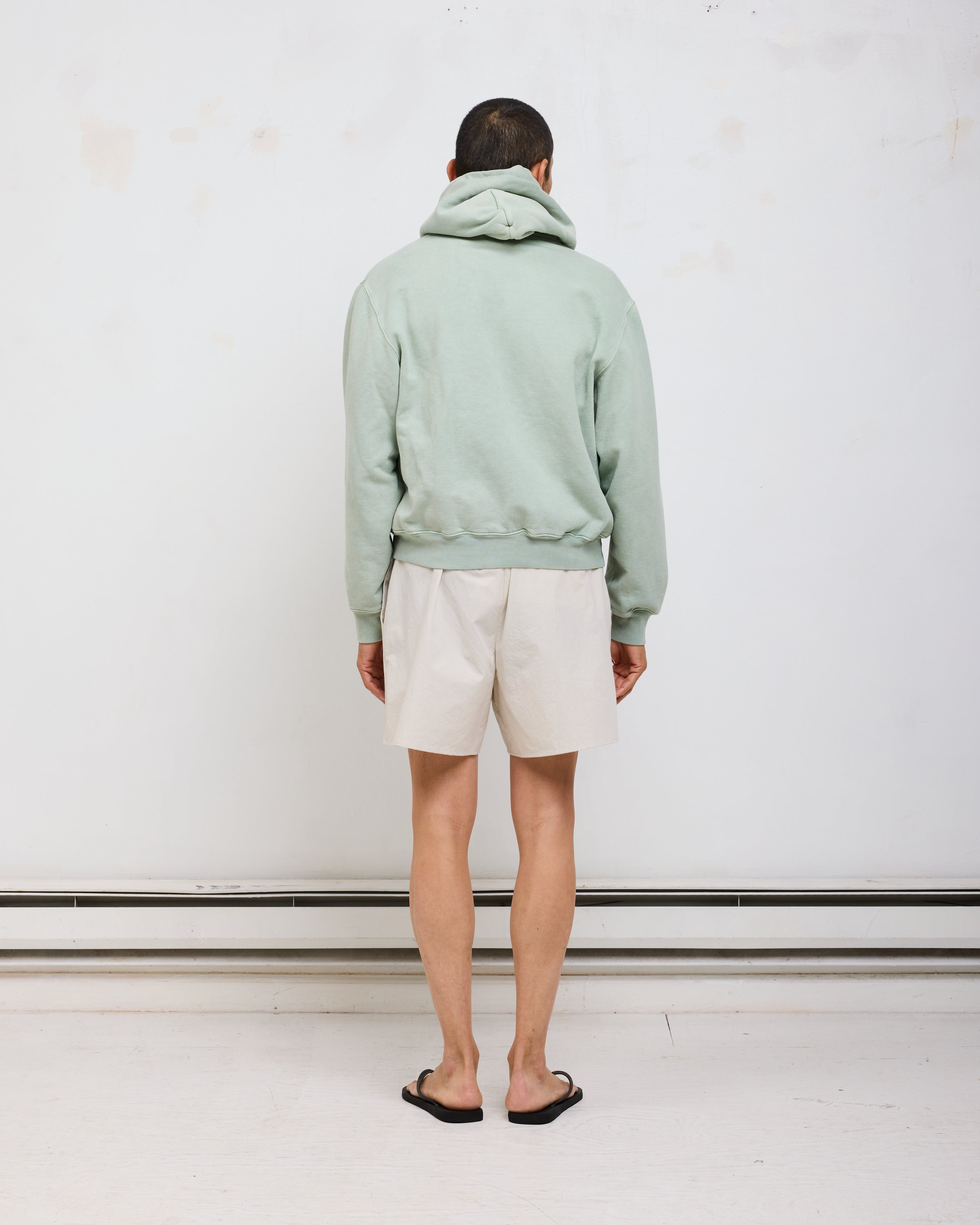 ST&Co Vintage Wash Zip Hoodie: Desert Sage – Small Talk Studio