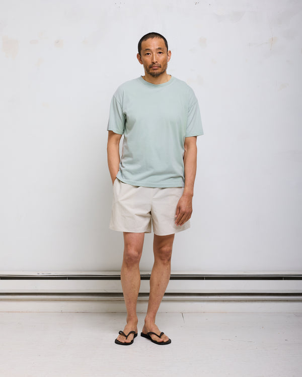 ST&Co Sun Faded S/S Tee: "Desert Sage"