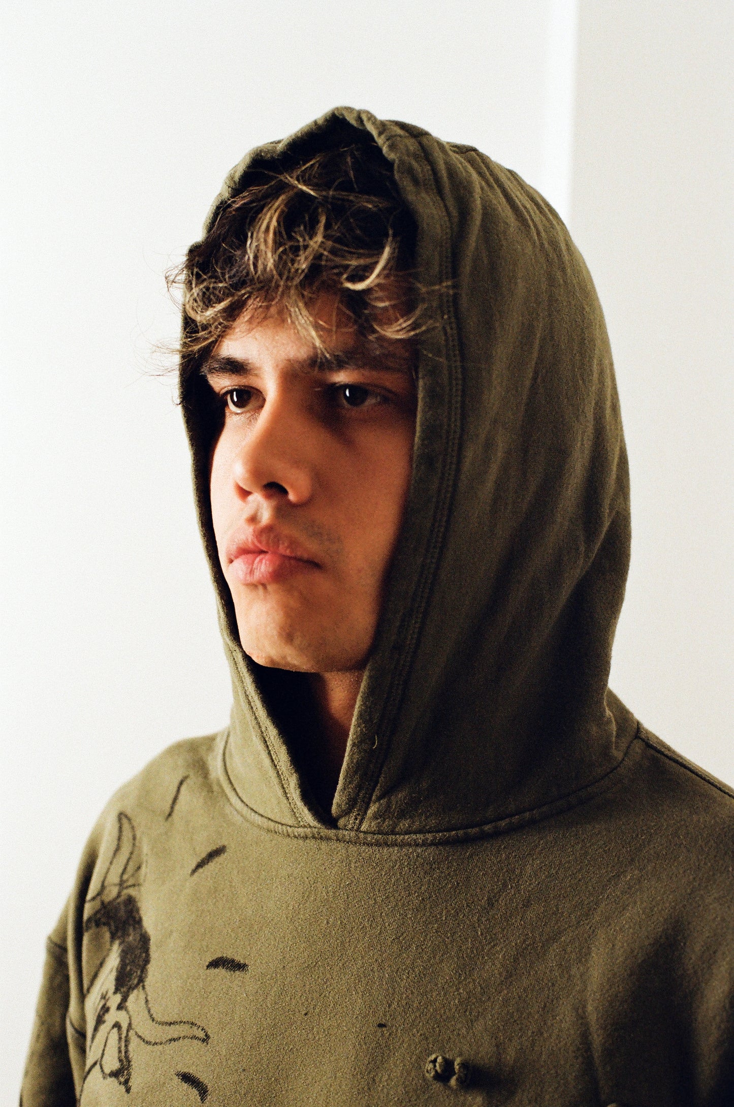 daytimenovella Out to Pasture Hoodie,Washed Green